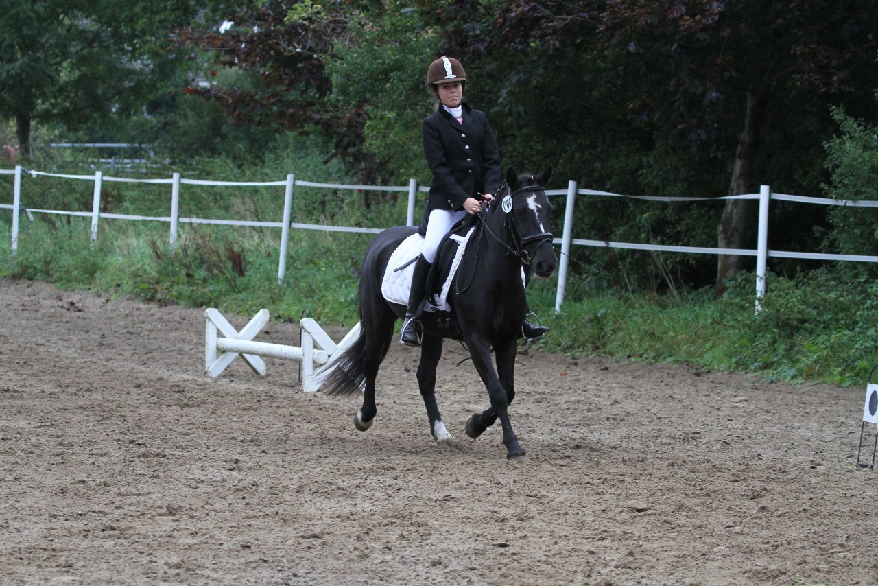 Bild 318 - WBO-Turnier am 18.9.11